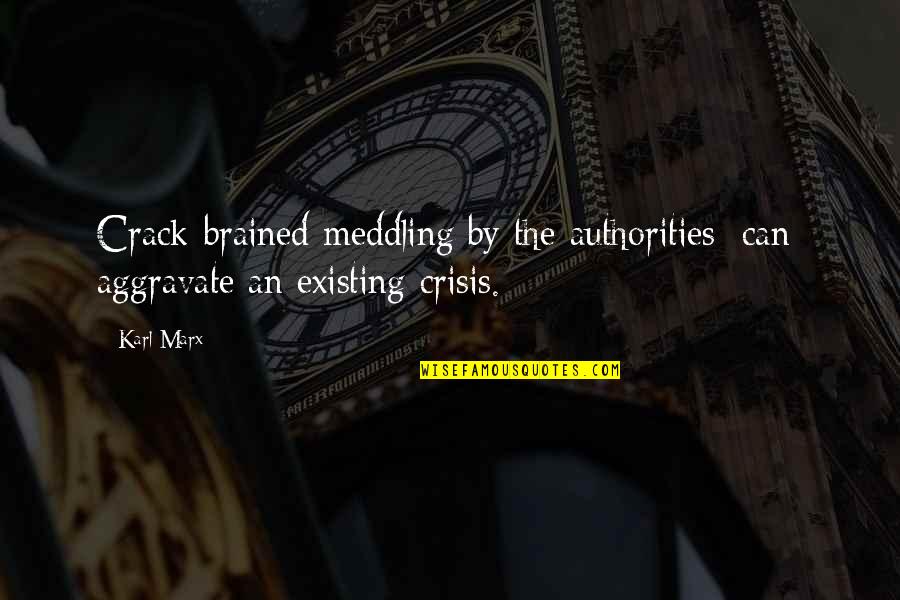 Salcedo Cargo Express Quotes By Karl Marx: Crack-brained meddling by the authorities [can] aggravate an