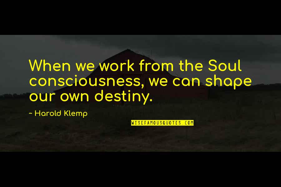 Salcines Dmd Quotes By Harold Klemp: When we work from the Soul consciousness, we