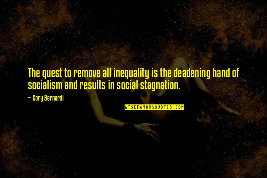 Salcinovic Zenica Quotes By Cory Bernardi: The quest to remove all inequality is the