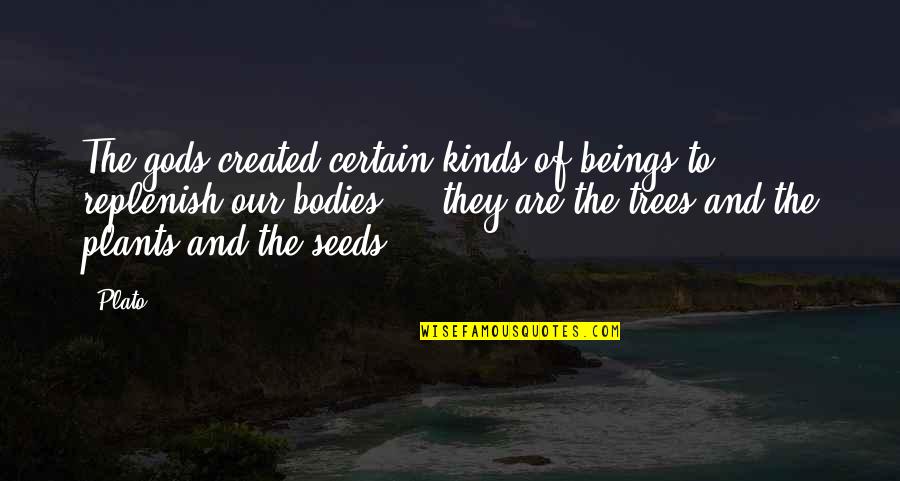 Saldran Mas Quotes By Plato: The gods created certain kinds of beings to Saldran Mas Quotes By Plato: The gods created certain kinds of beings to