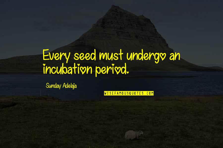 Saleeby S Quotes By Sunday Adelaja: Every seed must undergo an incubation period.