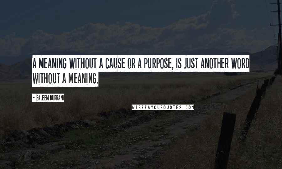 Saleem Durrani quotes: A meaning without a cause or a purpose, is just another word without a meaning.