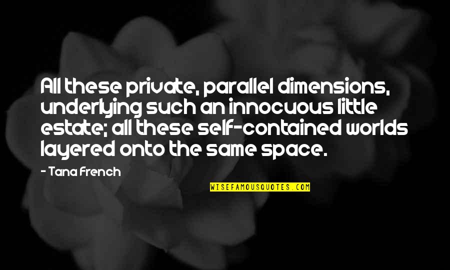 Salenger Jessica Quotes By Tana French: All these private, parallel dimensions, underlying such an Salenger Jessica Quotes By Tana French: All these private, parallel dimensions, underlying such an