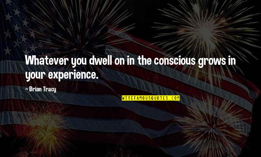 Salento Rice Quotes By Brian Tracy: Whatever you dwell on in the conscious grows