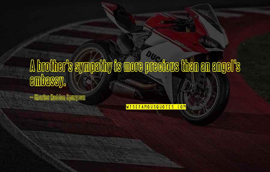 Sales Leadership Quotes By Charles Haddon Spurgeon: A brother's sympathy is more precious than an