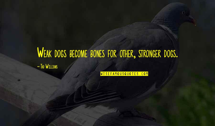 Salesperson Inspirational Quotes By Tad Williams: Weak dogs become bones for other, stronger dogs.