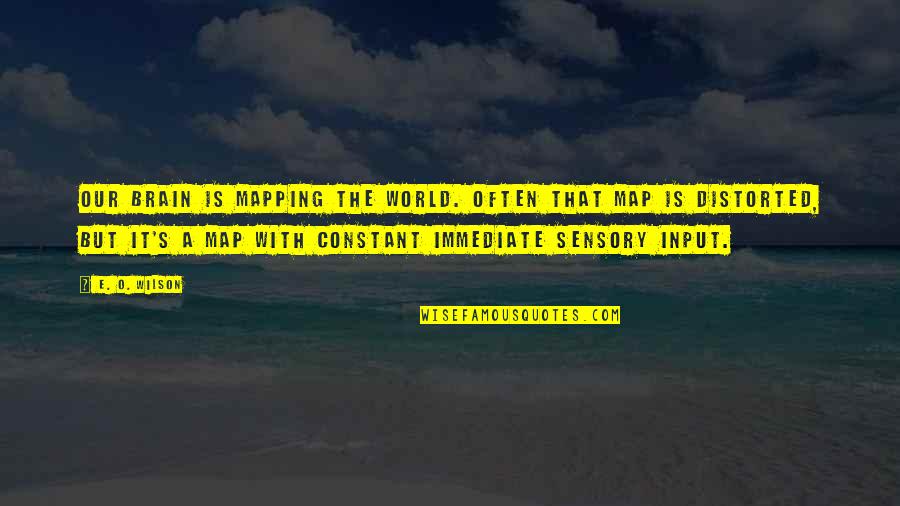 Saletski Quotes By E. O. Wilson: Our brain is mapping the world. Often that Saletski Quotes By E. O. Wilson: Our brain is mapping the world. Often that