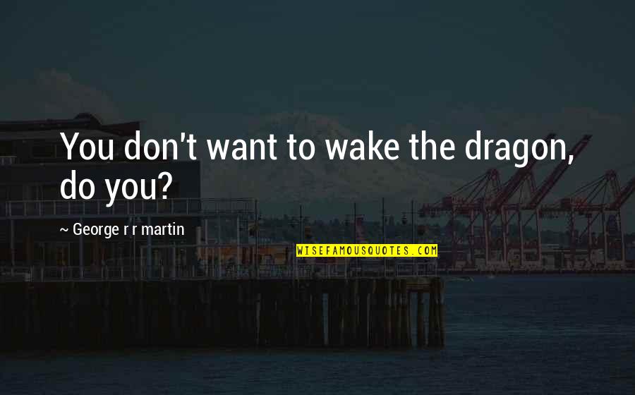 Salih Selman Quotes By George R R Martin: You don't want to wake the dragon, do