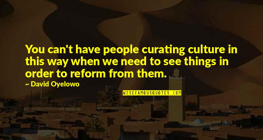 Salim Al Fillah Quotes By David Oyelowo: You can't have people curating culture in this