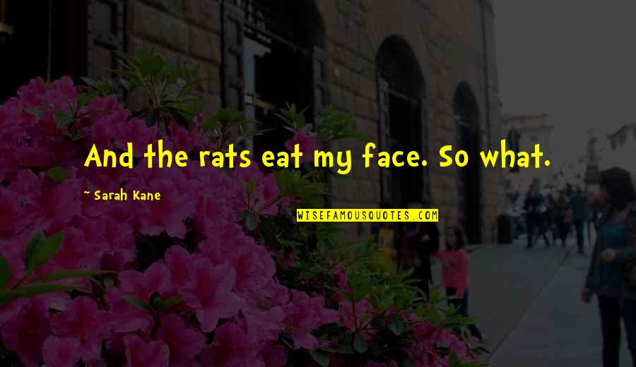 Salimah Shivji Quotes By Sarah Kane: And the rats eat my face. So what. Salimah Shivji Quotes By Sarah Kane: And the rats eat my face. So what.