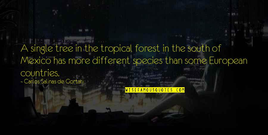 Salinas Quotes By Carlos Salinas De Gortari: A single tree in the tropical forest in