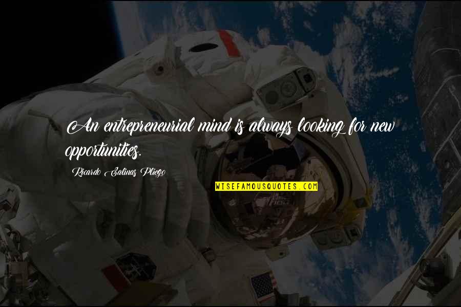 Salinas Quotes By Ricardo Salinas Pliego: An entrepreneurial mind is always looking for new Salinas Quotes By Ricardo Salinas Pliego: An entrepreneurial mind is always looking for new