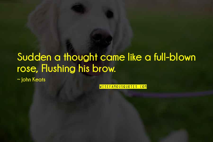 Salindah Quotes By John Keats: Sudden a thought came like a full-blown rose,