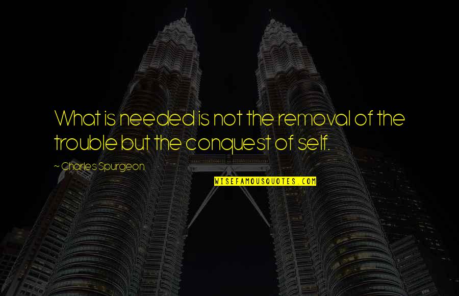 Saling Menguatkan Quotes By Charles Spurgeon: What is needed is not the removal of