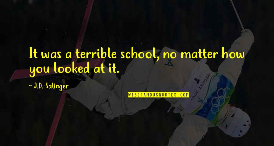 Salinger Quotes By J.D. Salinger: It was a terrible school, no matter how
