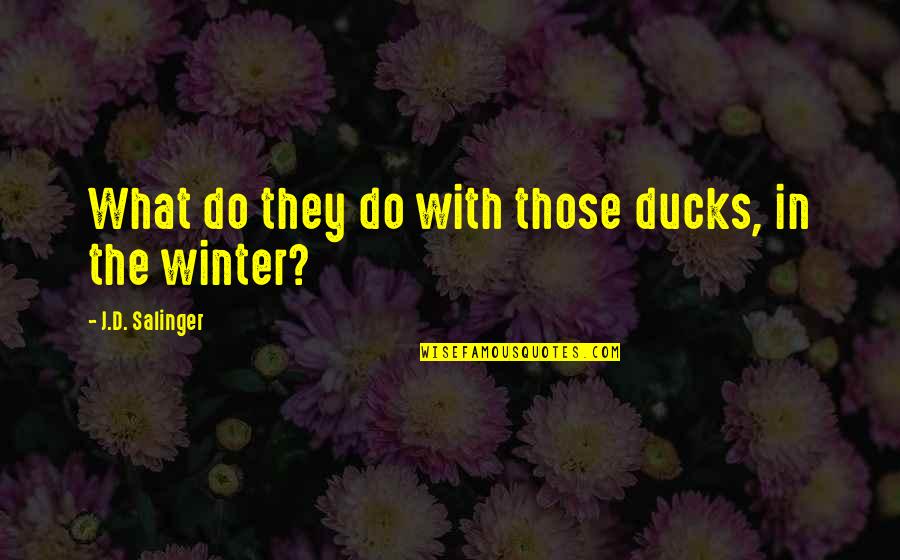 Salinger Quotes By J.D. Salinger: What do they do with those ducks, in