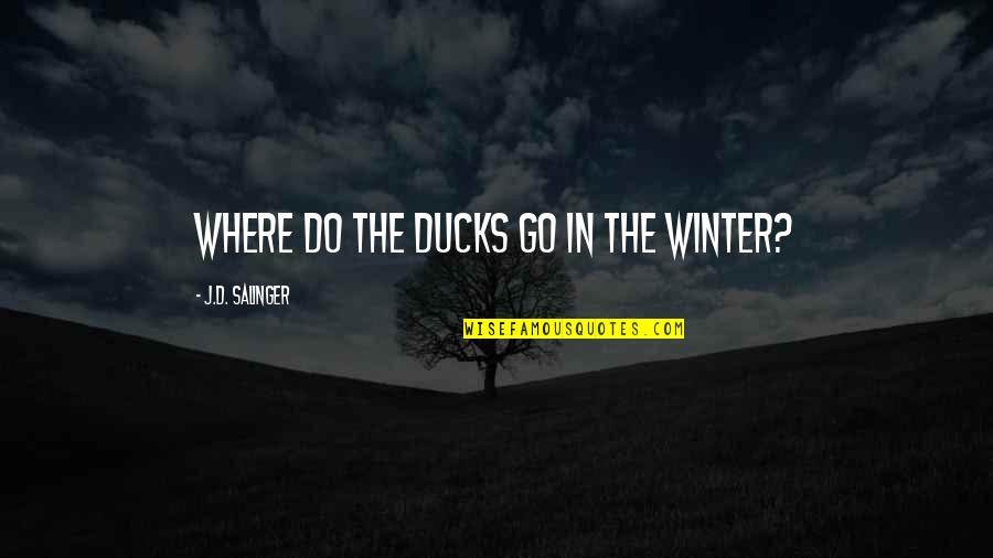 Salinger Quotes By J.D. Salinger: Where do the ducks go in the winter?