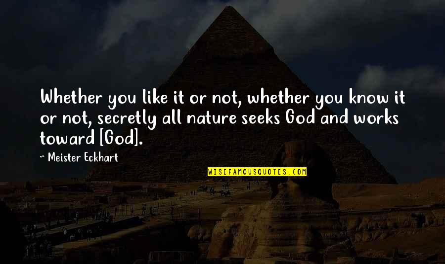 Salitang Quotes By Meister Eckhart: Whether you like it or not, whether you