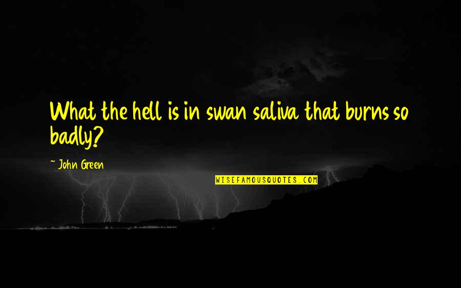 Saliva Quotes By John Green: What the hell is in swan saliva that