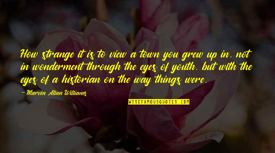 Saliya Peiris Quotes By Marvin Allan Williams: How strange it is to view a town Saliya Peiris Quotes By Marvin Allan Williams: How strange it is to view a town
