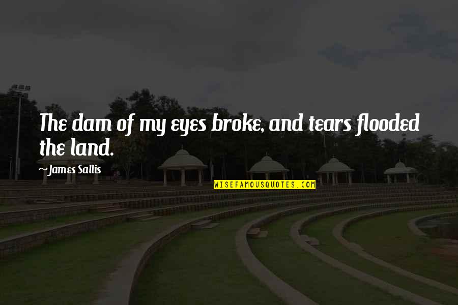 Sallis Quotes By James Sallis: The dam of my eyes broke, and tears Sallis Quotes By James Sallis: The dam of my eyes broke, and tears