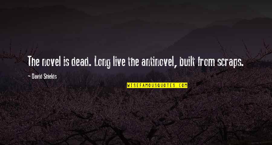 Sally Ann Cookies Quotes By David Shields: The novel is dead. Long live the antinovel, Sally Ann Cookies Quotes By David Shields: The novel is dead. Long live the antinovel,