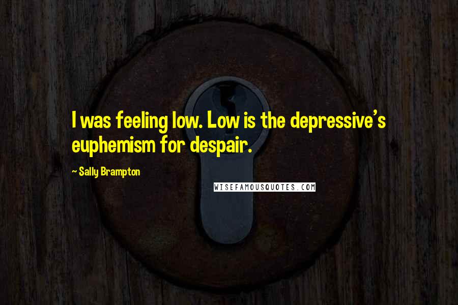 Sally Brampton quotes: I was feeling low. Low is the depressive's euphemism for despair.