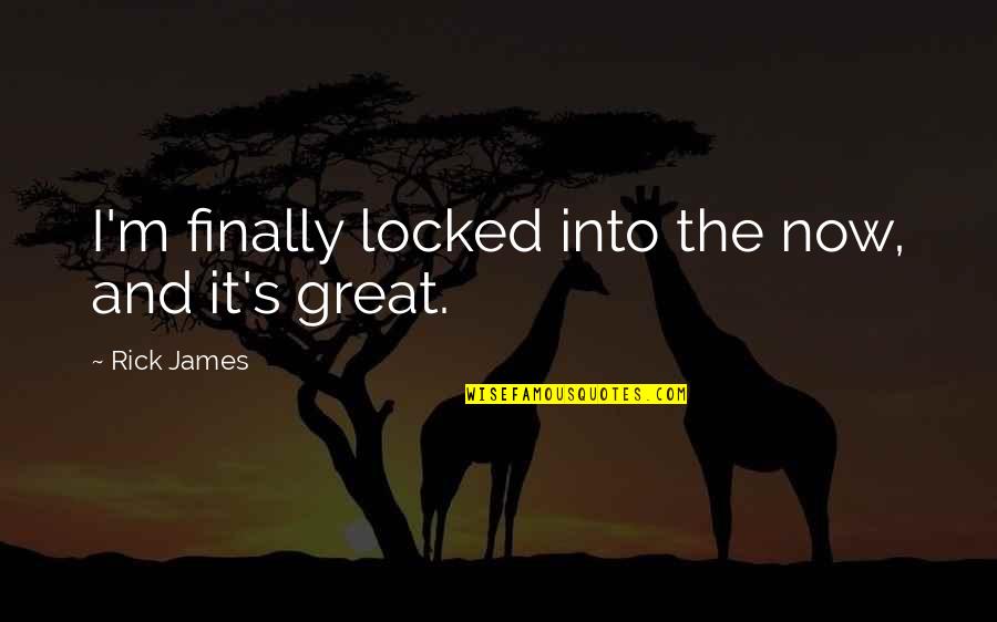 Sally Catcher In The Rye Quotes By Rick James: I'm finally locked into the now, and it's