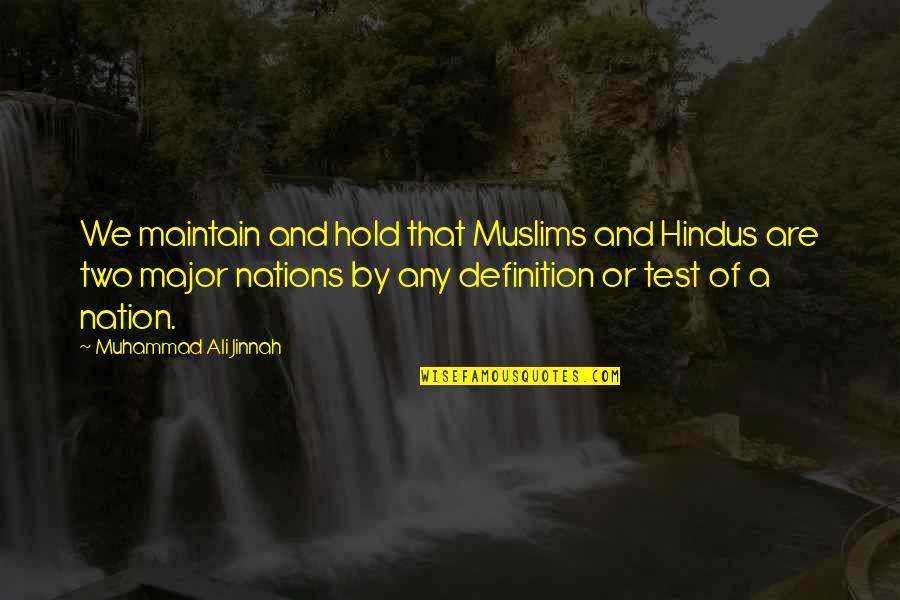 Sally Eichhorst Quotes By Muhammad Ali Jinnah: We maintain and hold that Muslims and Hindus