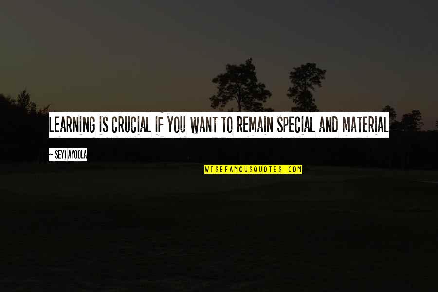 Sally Eichhorst Quotes By Seyi Ayoola: Learning is crucial if you want to remain