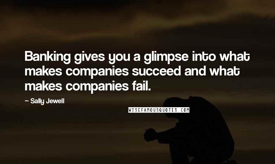 Sally Jewell quotes: Banking gives you a glimpse into what makes companies succeed and what makes companies fail.