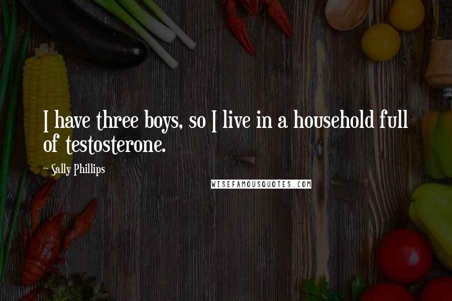 Sally Phillips quotes: I have three boys, so I live in a household full of testosterone.