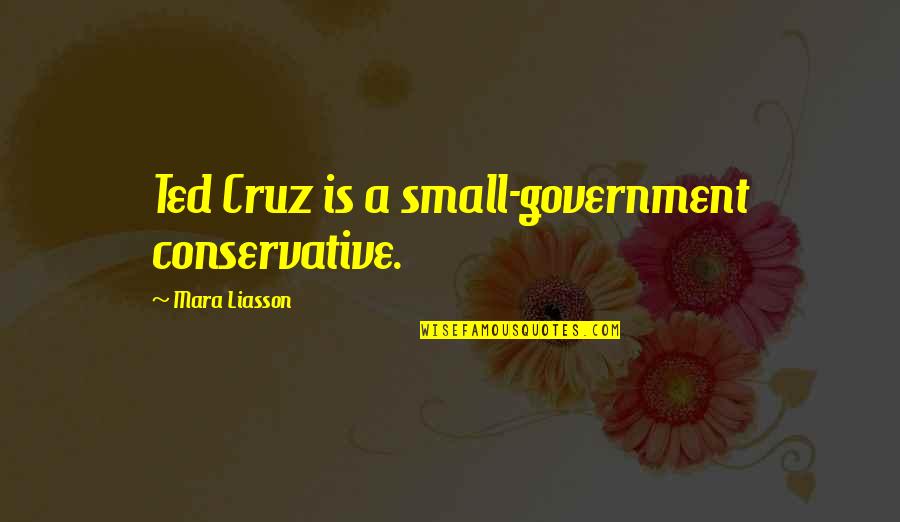 Sallys Baking Addiction Quotes By Mara Liasson: Ted Cruz is a small-government conservative.