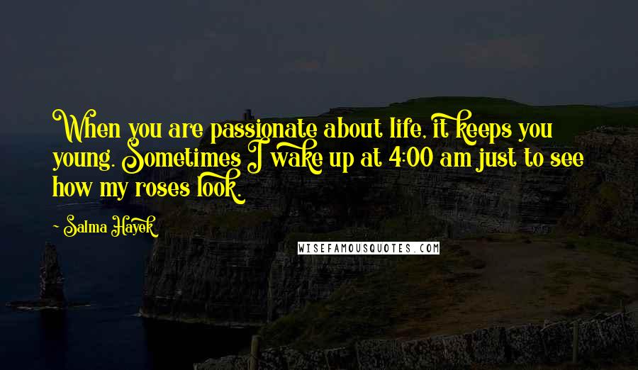 Salma Hayek quotes: When you are passionate about life, it keeps you young. Sometimes I wake up at 4:00 am just to see how my roses look.