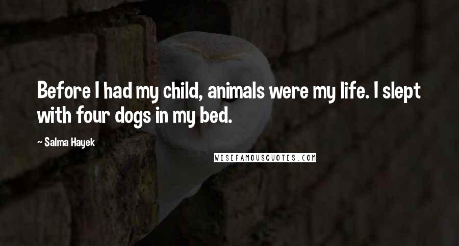 Salma Hayek quotes: Before I had my child, animals were my life. I slept with four dogs in my bed.