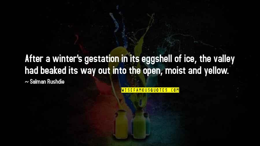 Salman Rushdie Quotes By Salman Rushdie: After a winter's gestation in its eggshell of Salman Rushdie Quotes By Salman Rushdie: After a winter's gestation in its eggshell of