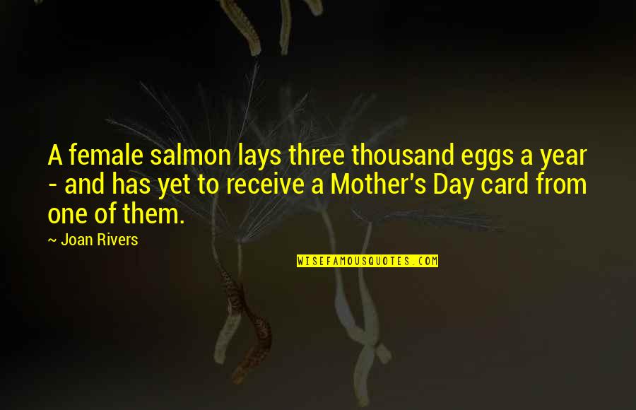 Salmon Quotes By Joan Rivers: A female salmon lays three thousand eggs a
