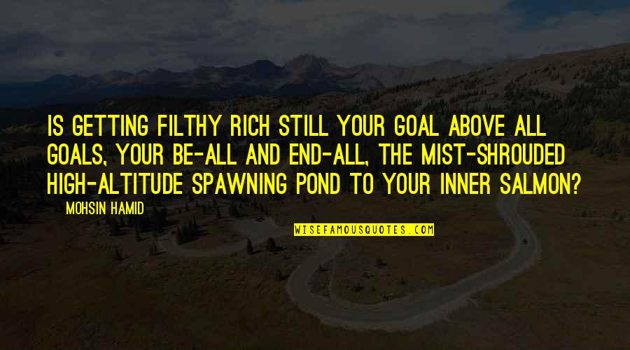 Salmon Quotes By Mohsin Hamid: Is getting filthy rich still your goal above