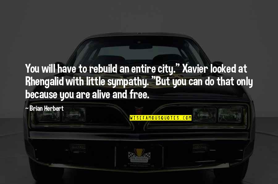 Salon Facebook Quotes By Brian Herbert: You will have to rebuild an entire city."
