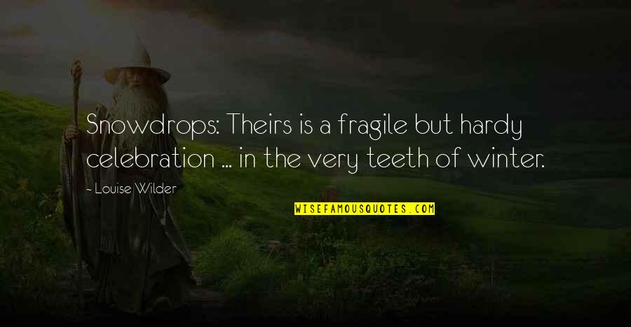 Salsgiver Telecom Quotes By Louise Wilder: Snowdrops: Theirs is a fragile but hardy celebration