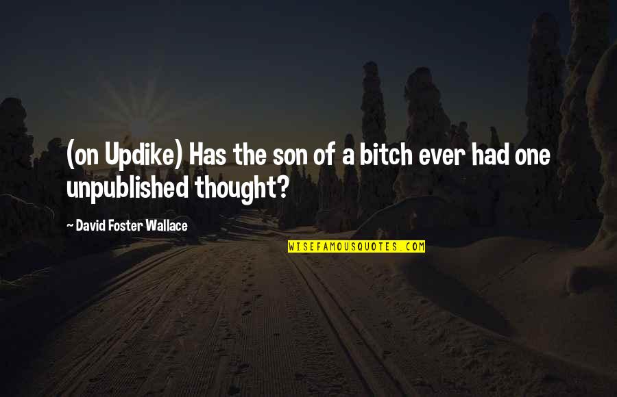 Salt And Vinegar Quotes By David Foster Wallace: (on Updike) Has the son of a bitch Salt And Vinegar Quotes By David Foster Wallace: (on Updike) Has the son of a bitch