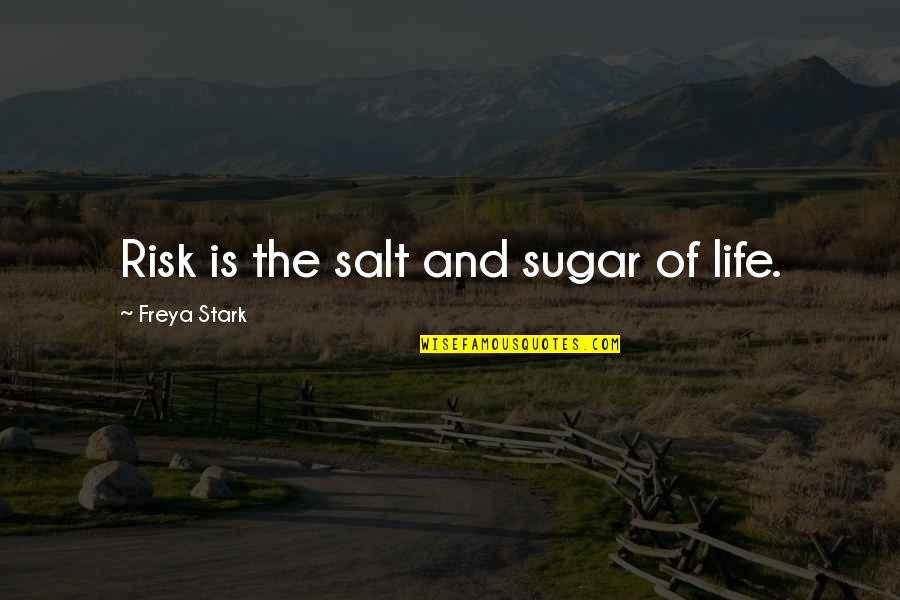 Salt Life Quotes By Freya Stark: Risk is the salt and sugar of life.