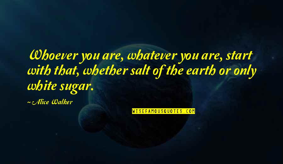 Salt Of The Earth Quotes By Alice Walker: Whoever you are, whatever you are, start with