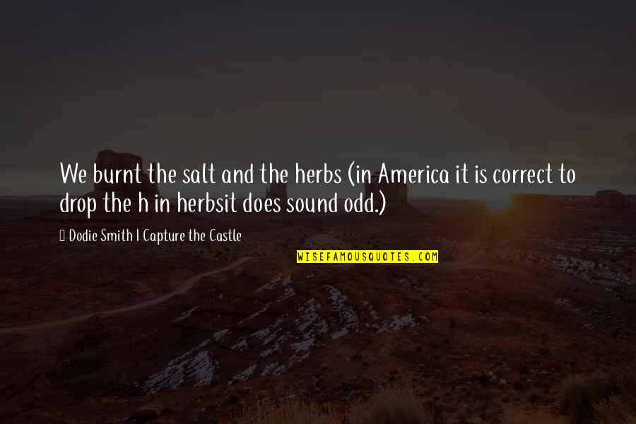 Salt Quotes By Dodie Smith I Capture The Castle: We burnt the salt and the herbs (in