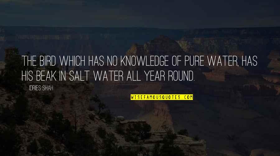 Salt Water Quotes By Idries Shah: The bird which has no knowledge of pure