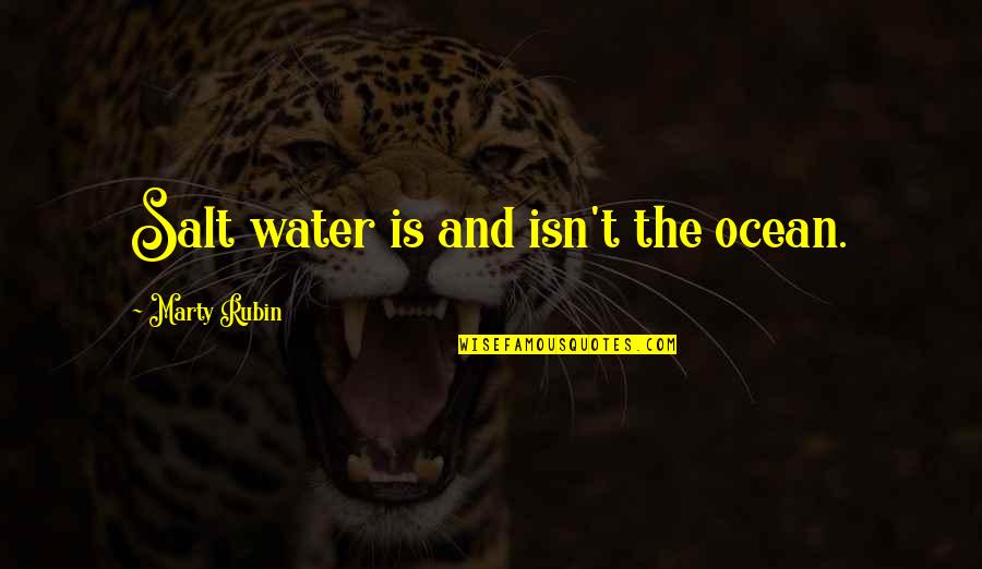 Salt Water Quotes By Marty Rubin: Salt water is and isn't the ocean.