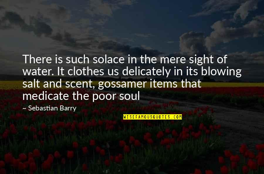 Salt Water Quotes By Sebastian Barry: There is such solace in the mere sight Salt Water Quotes By Sebastian Barry: There is such solace in the mere sight