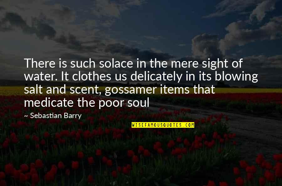 Salt Water Quotes By Sebastian Barry: There is such solace in the mere sight