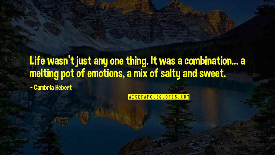Salty Quotes By Cambria Hebert: Life wasn't just any one thing. It was