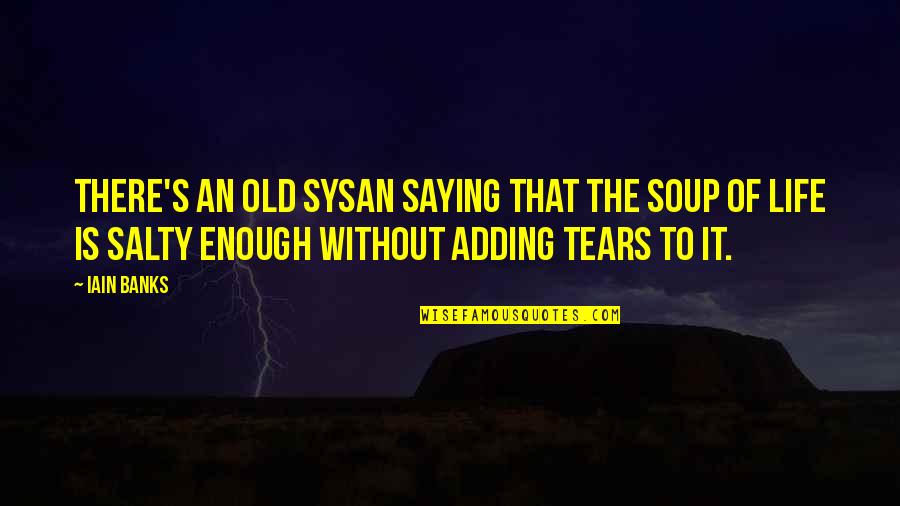 Salty Quotes By Iain Banks: There's an old Sysan saying that the soup